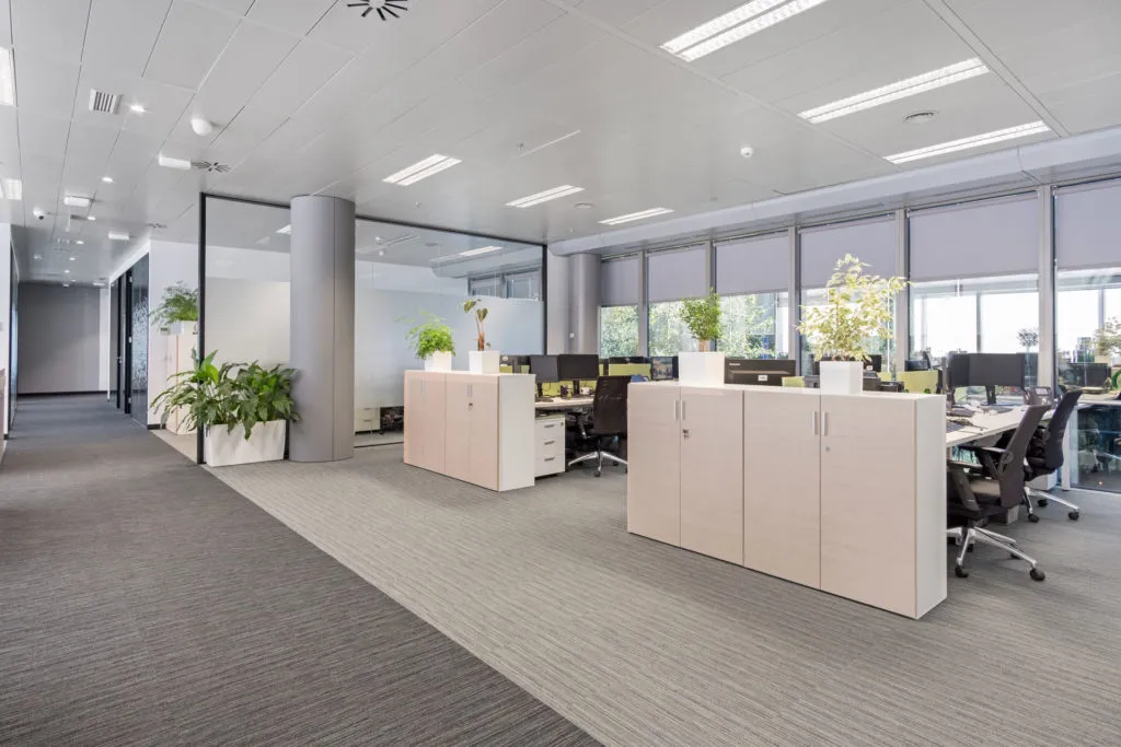 REMODELACIÓN DE OFICINAS